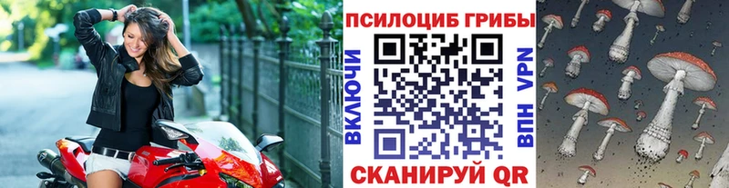 Галлюциногенные грибы Psilocybe  kraken ССЫЛКА  Заозёрный 